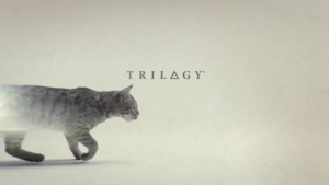 Trilogy banner